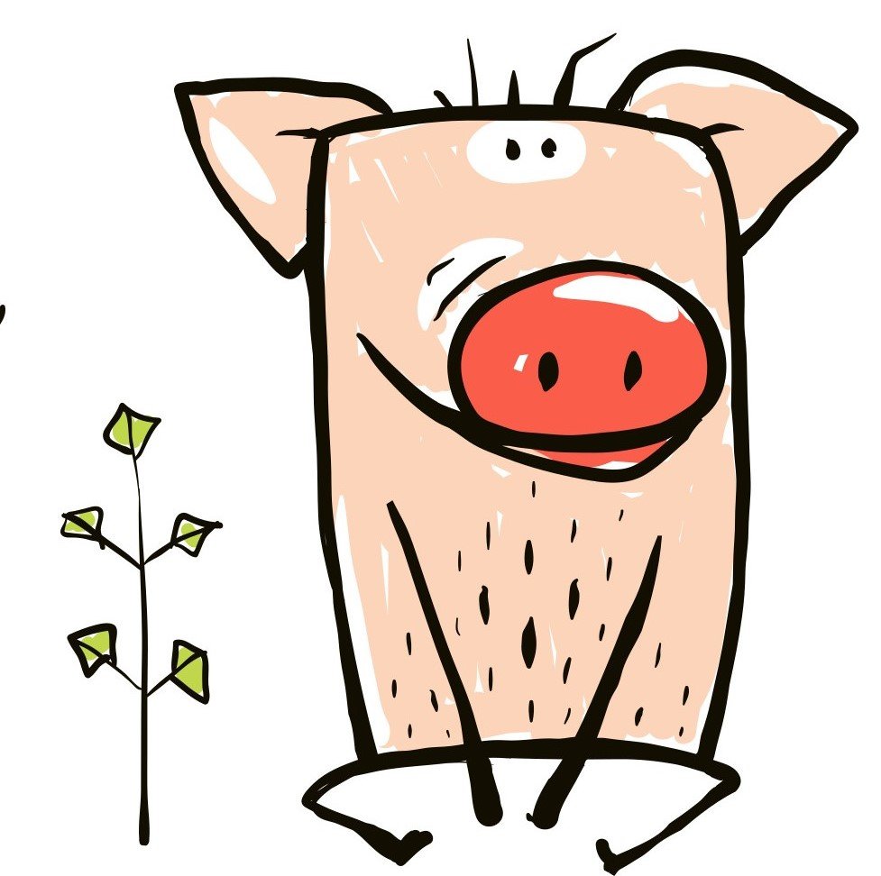 BIO Schweine-Ripperl mariniert